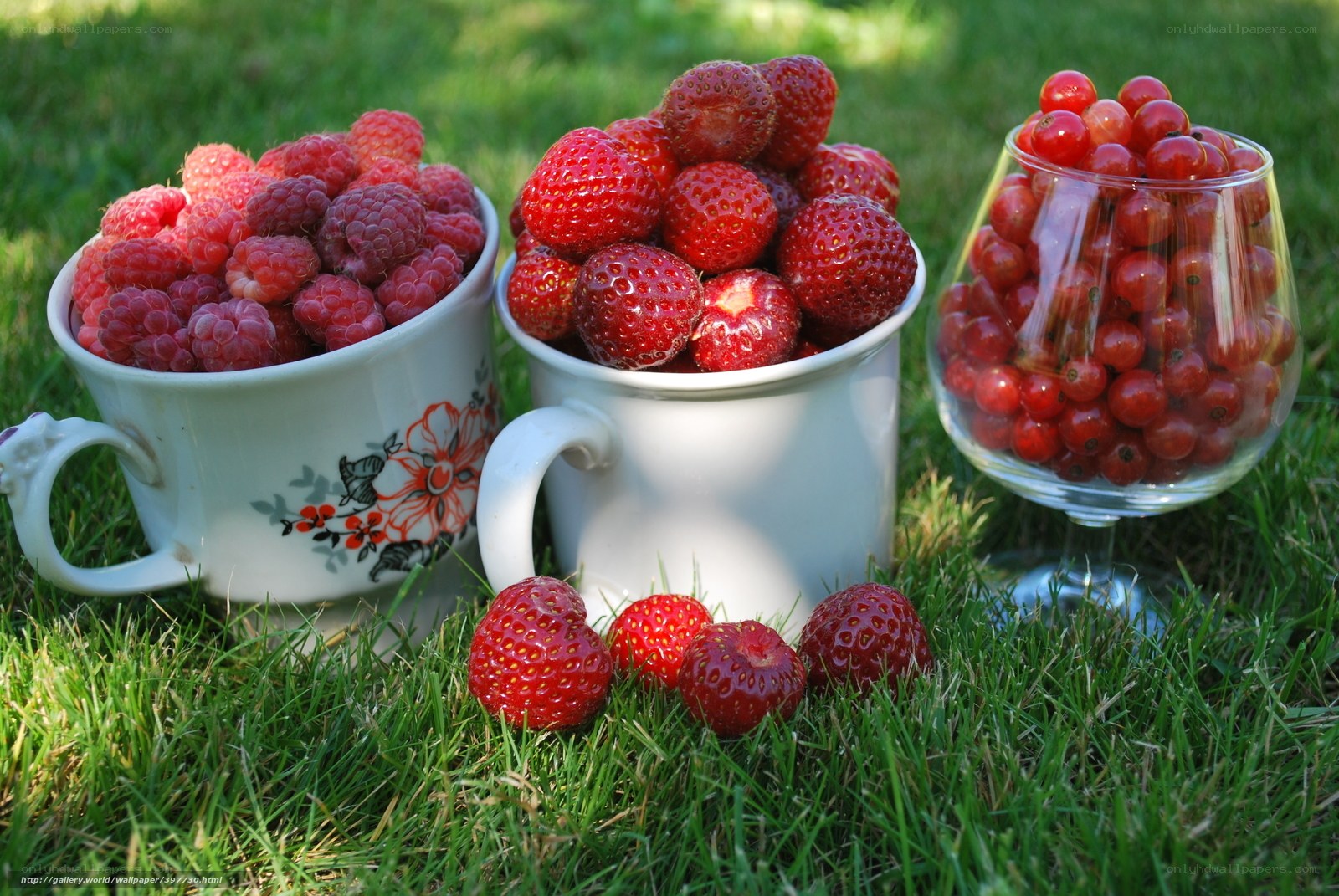 Fresh berries on grass