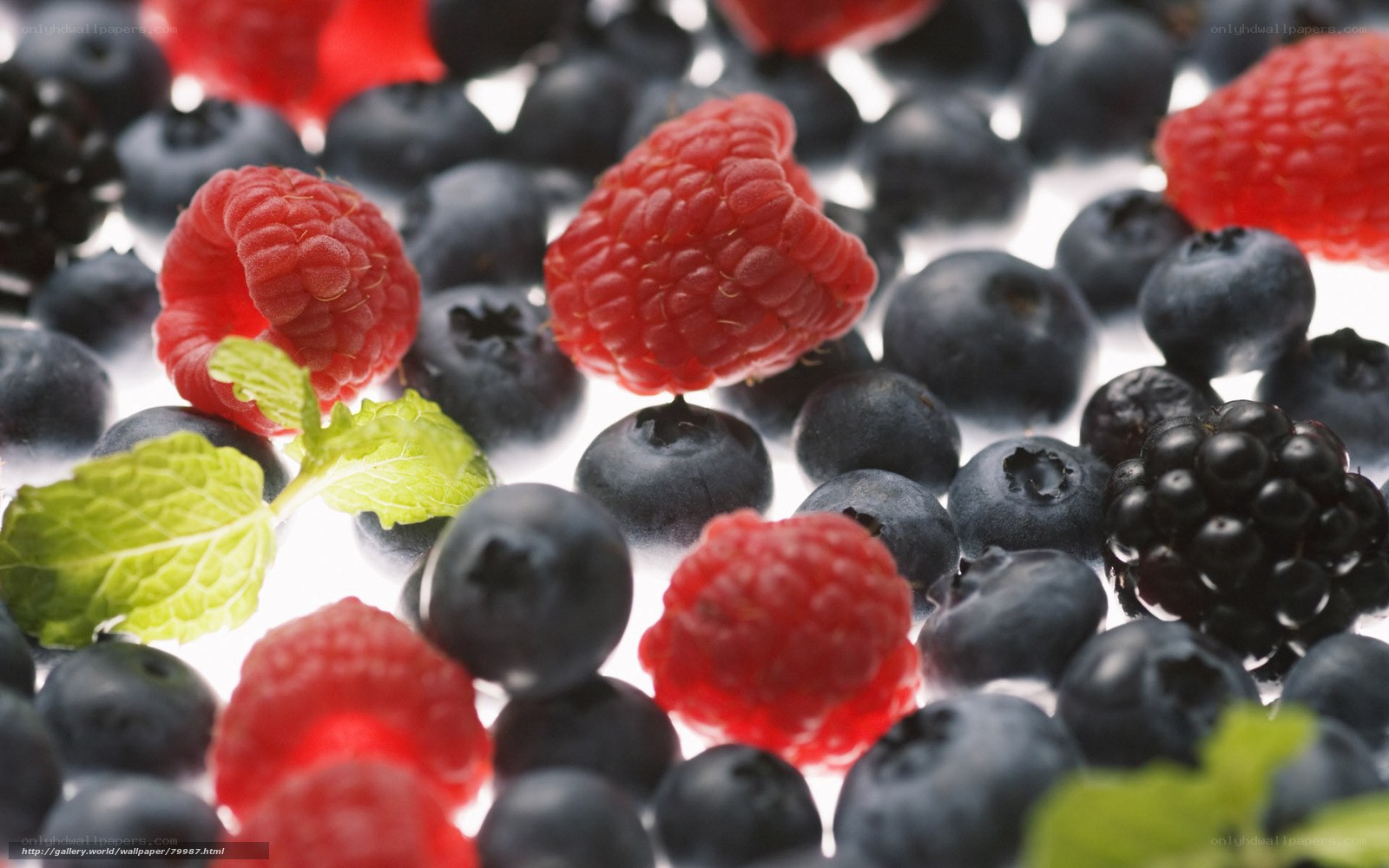 Fresh berries with mint leaves