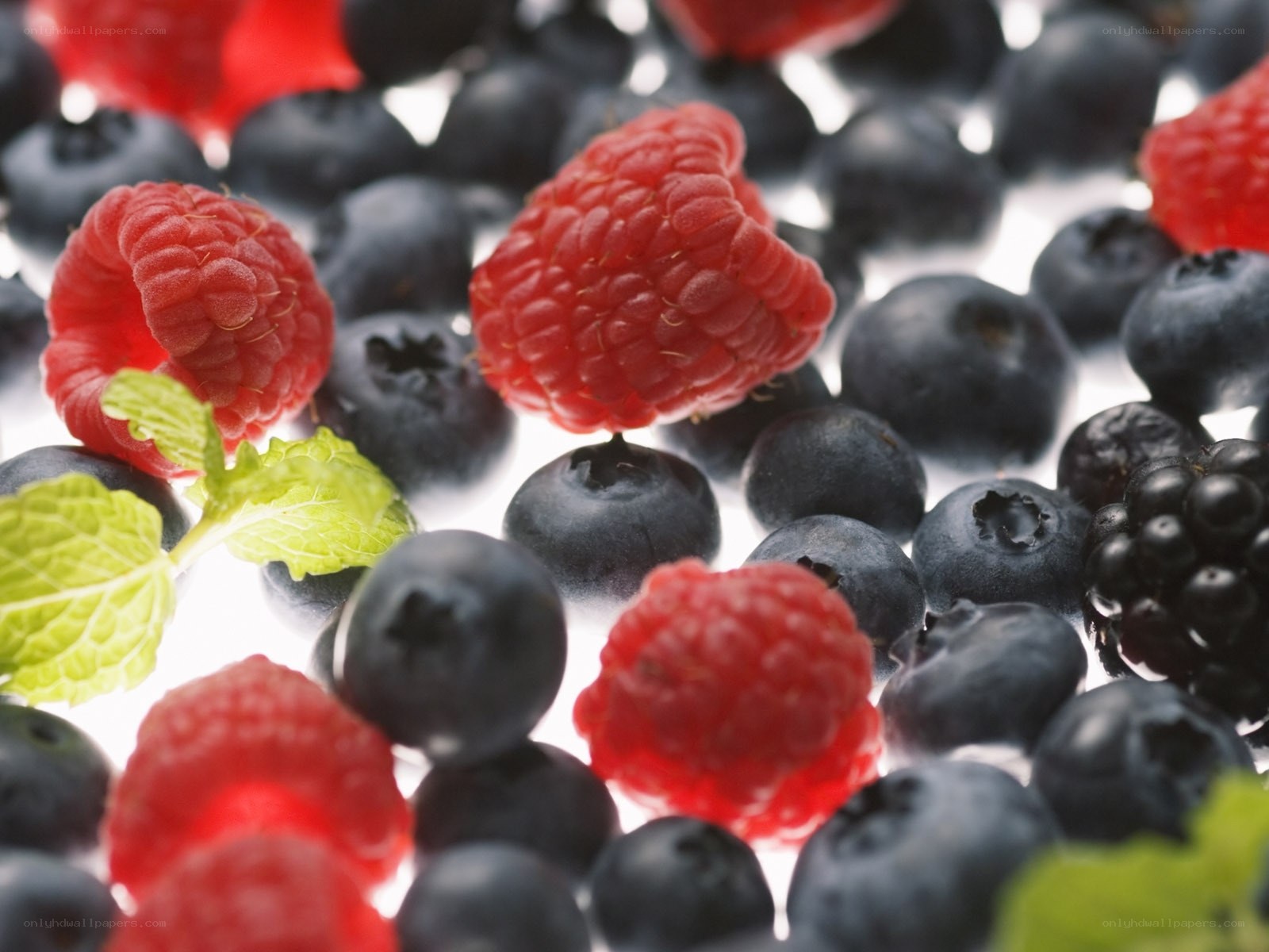 Fresh berries with mint