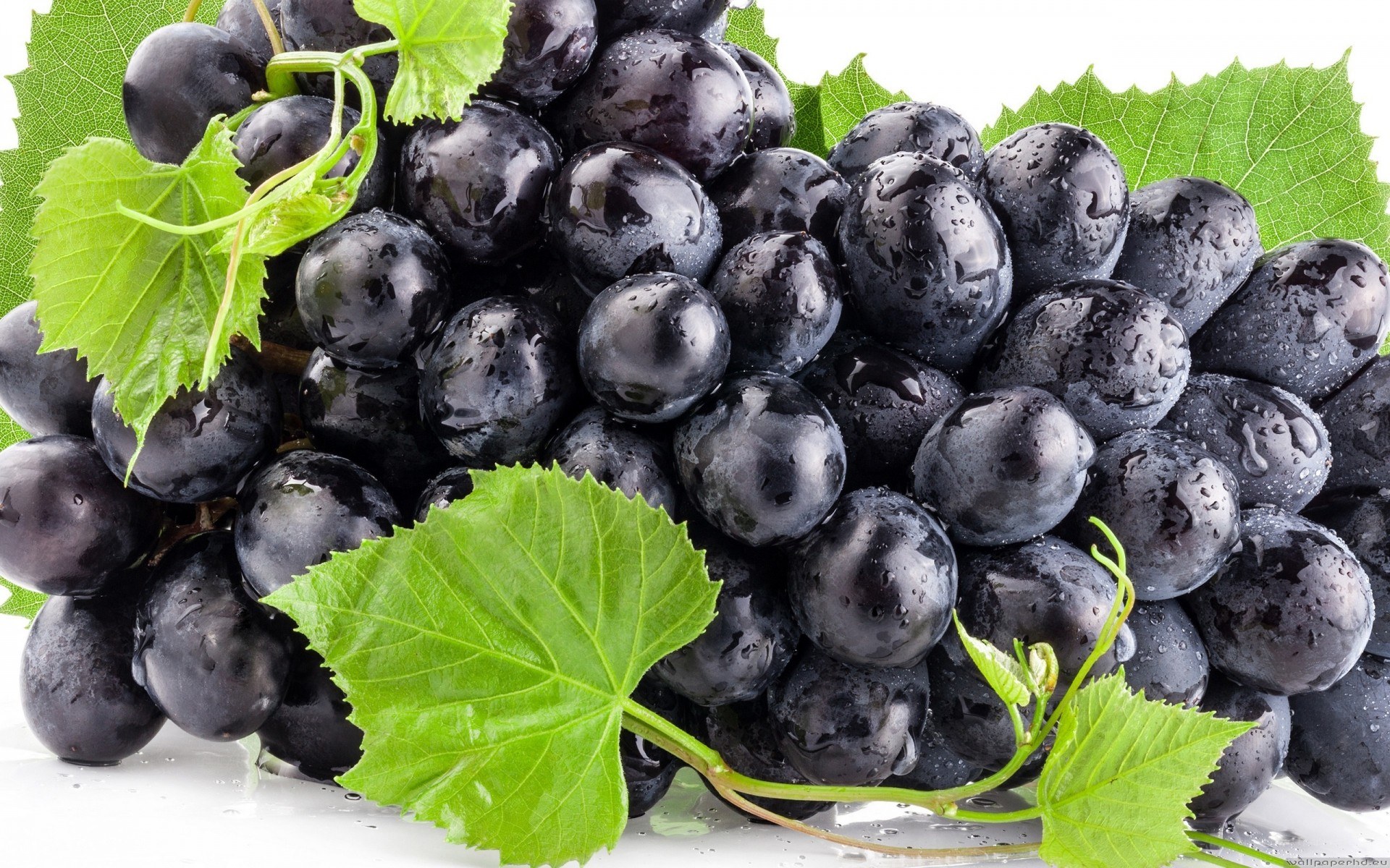 fresh black grapes with leaves
