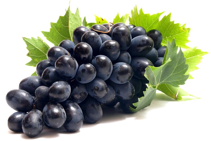 fresh black grapes with leaves
