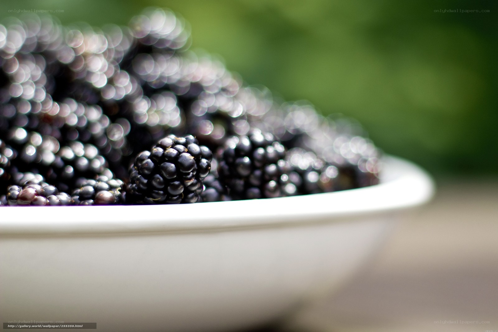 Fresh blackberries in a bowl