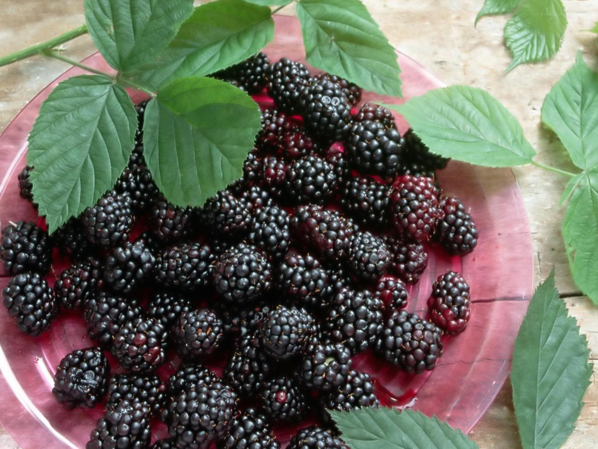 Fresh blackberries on a plate