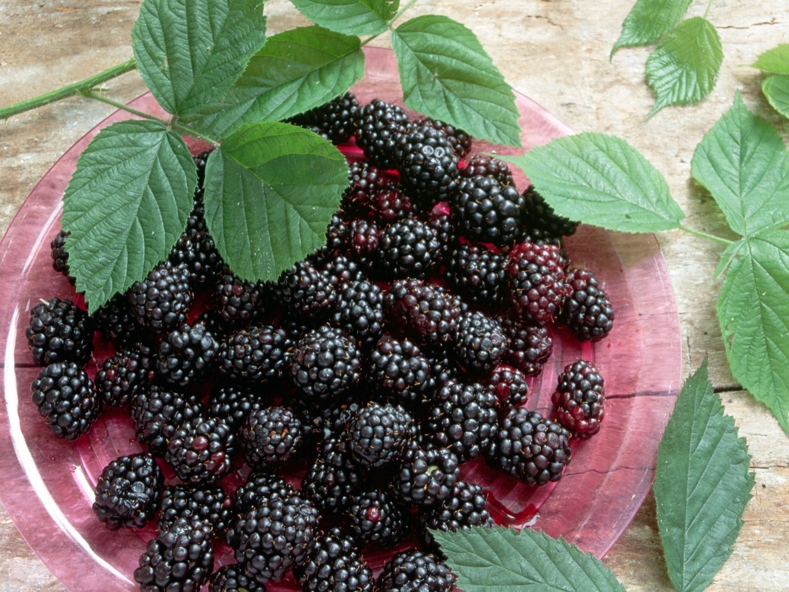 Fresh blackberries on a plate