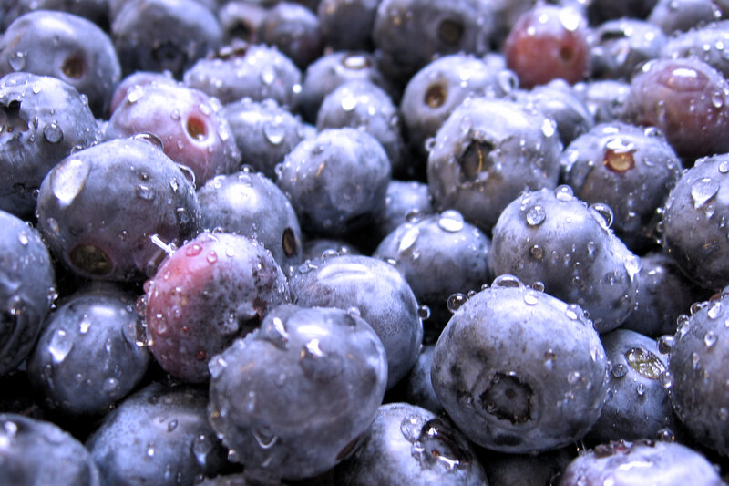 Fresh Blueberries — Blue