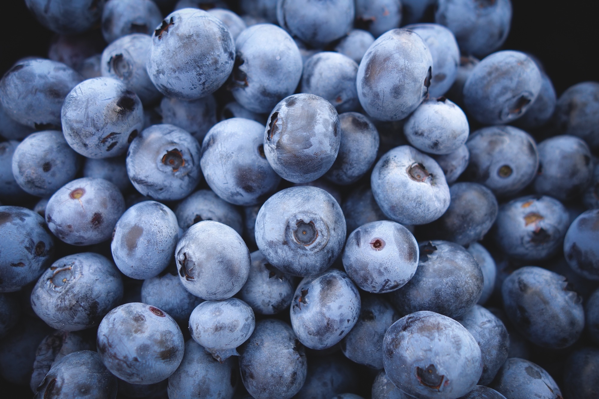 Fresh blueberries close-up
