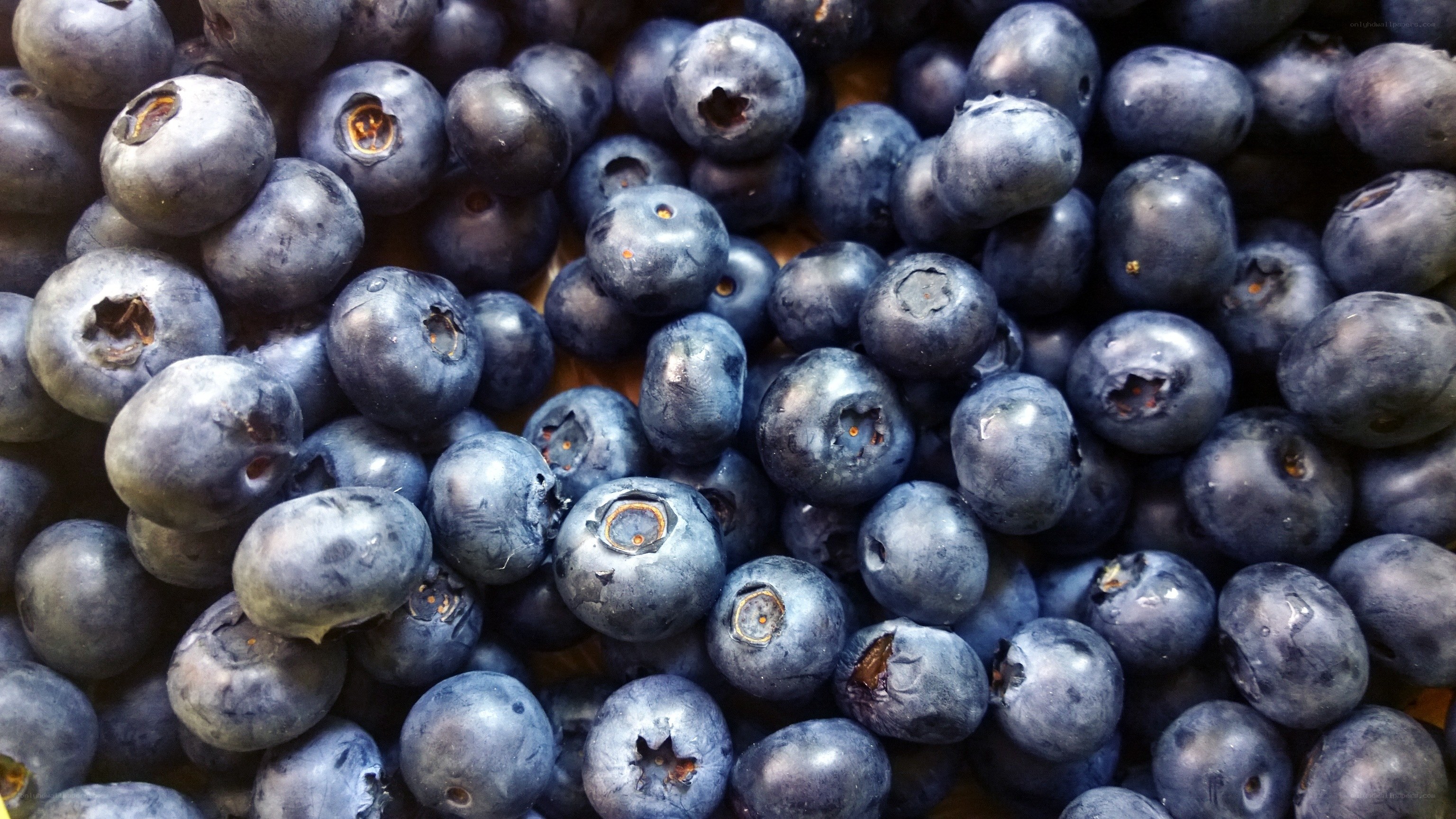 Fresh blueberries close-up