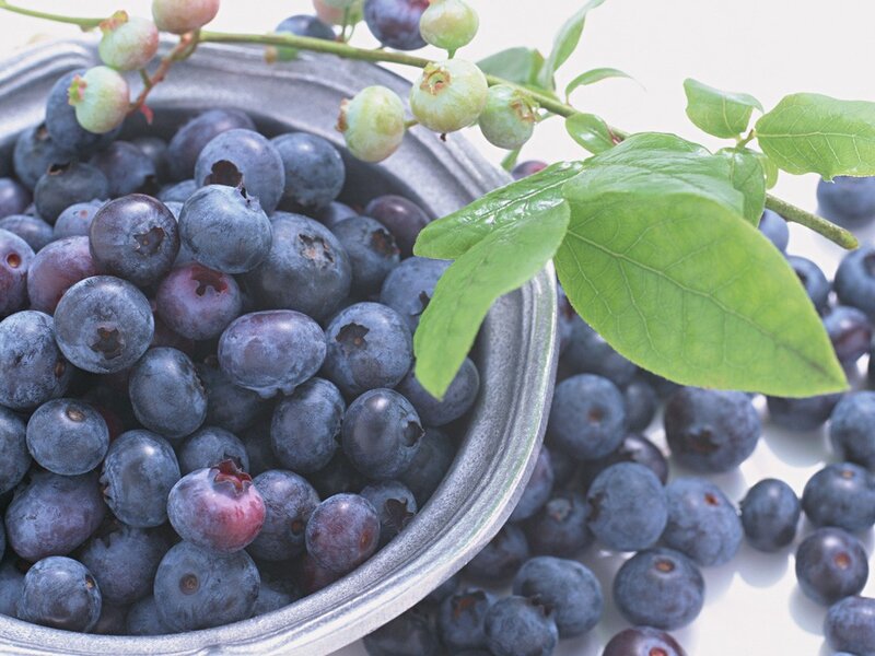 Fresh blueberries in a bowl