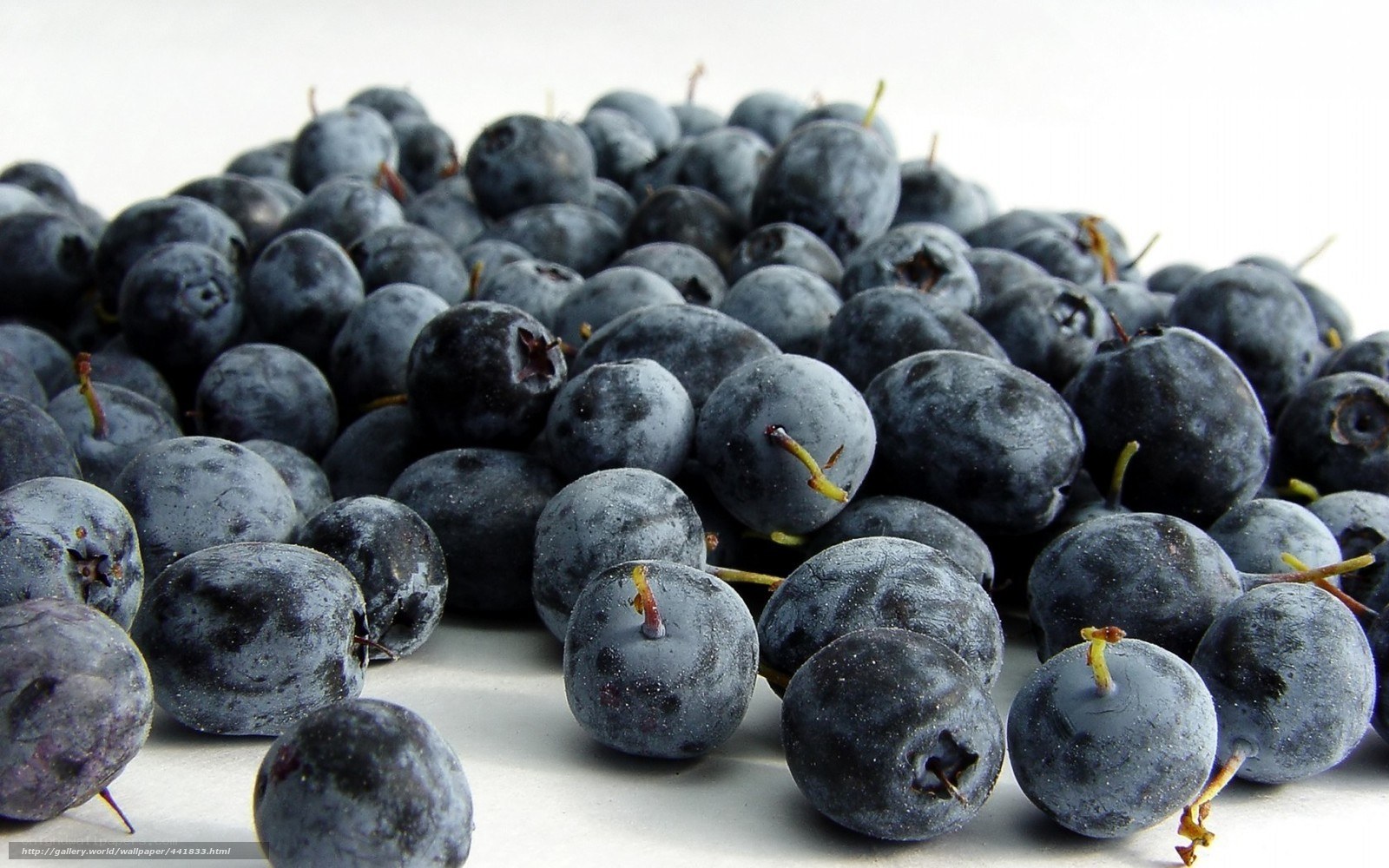 Fresh blueberries in a pile