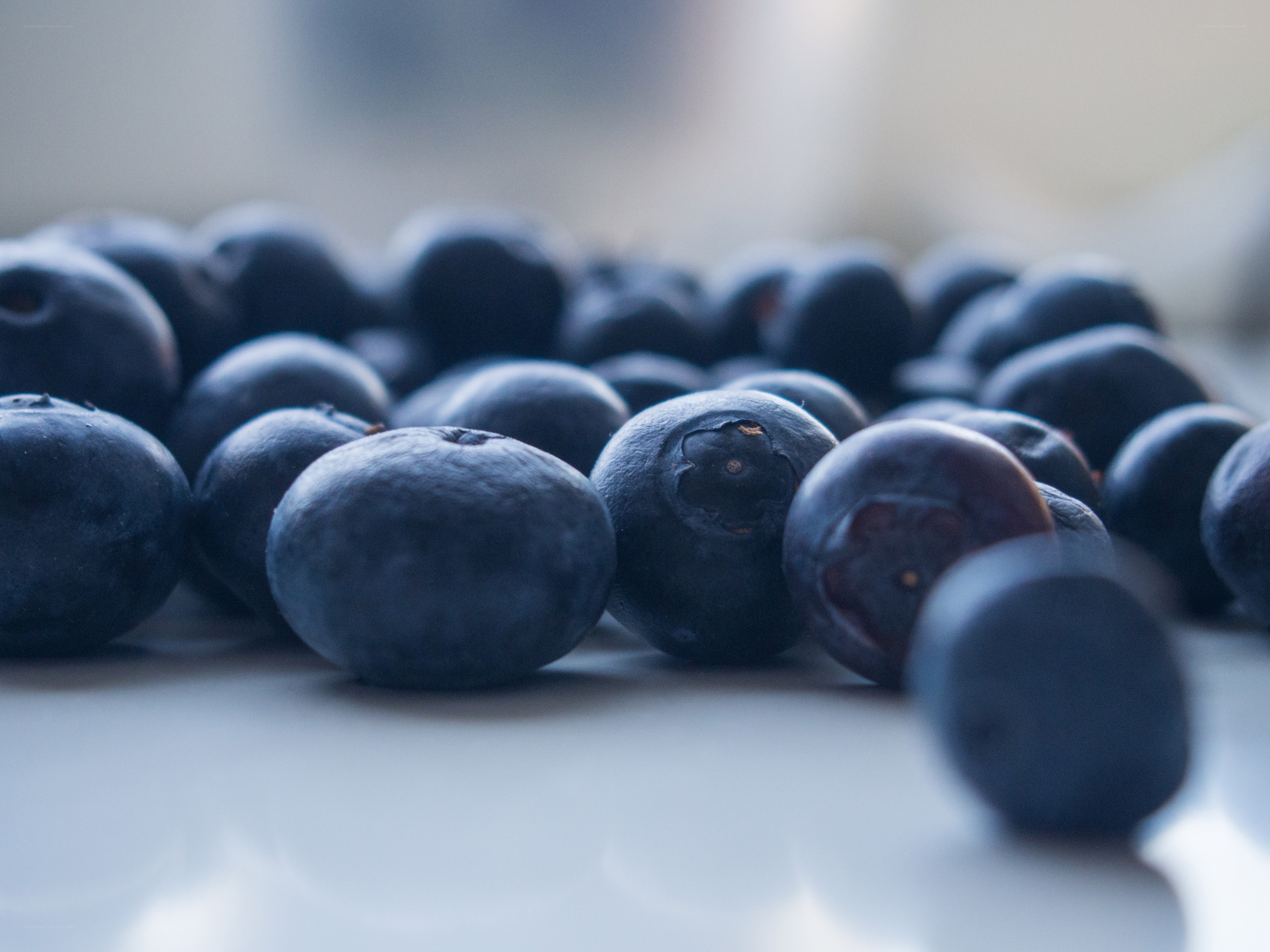 Fresh blueberries on white surface