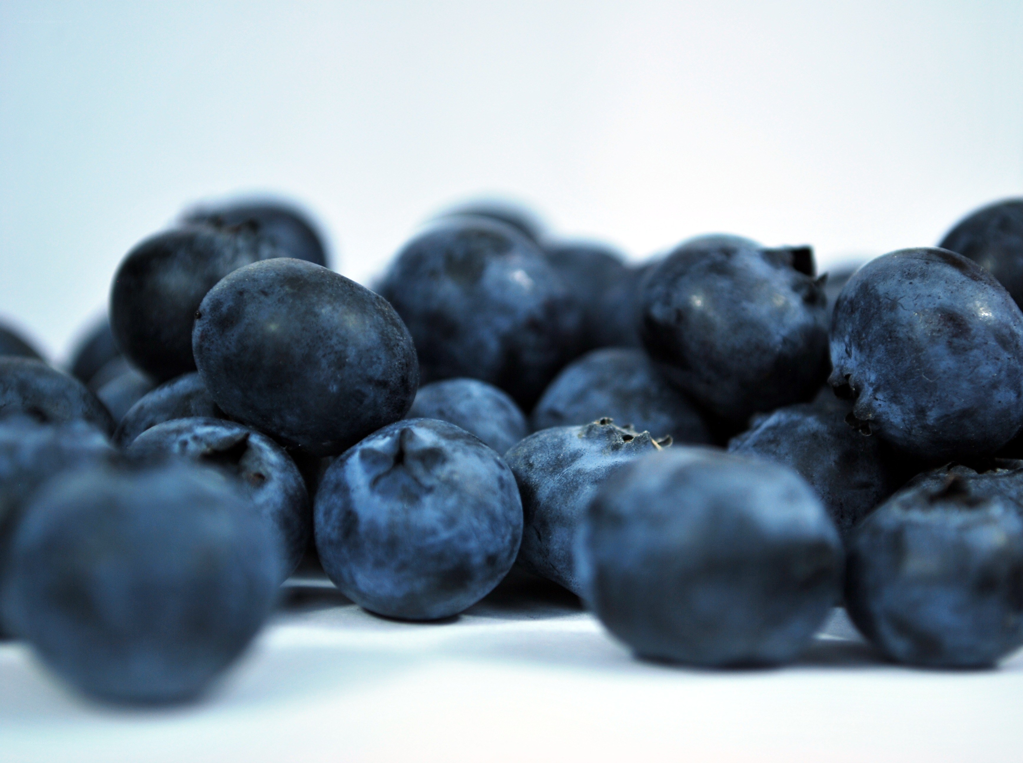 Fresh blueberries on white surface