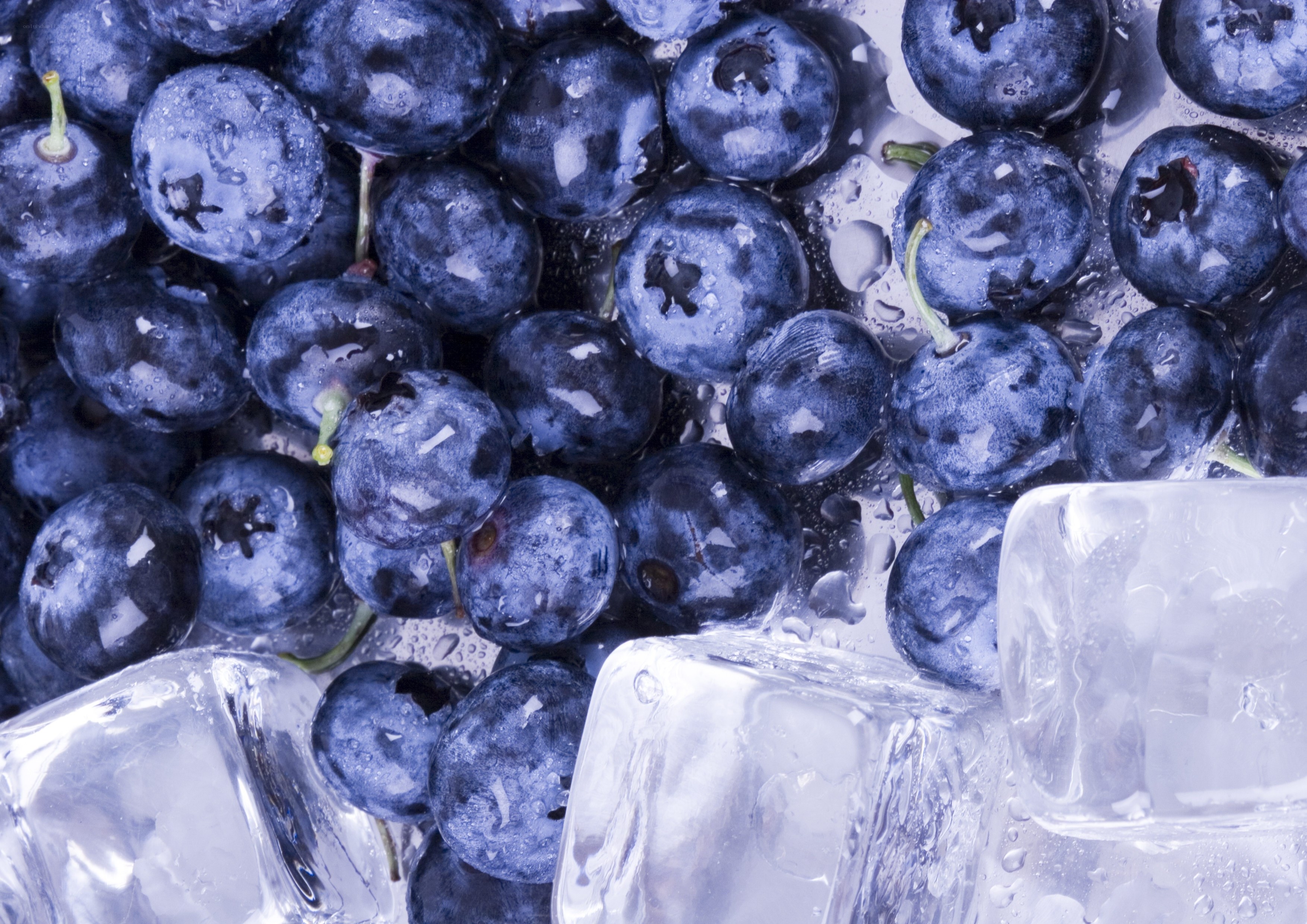 fresh blueberries with ice cubes