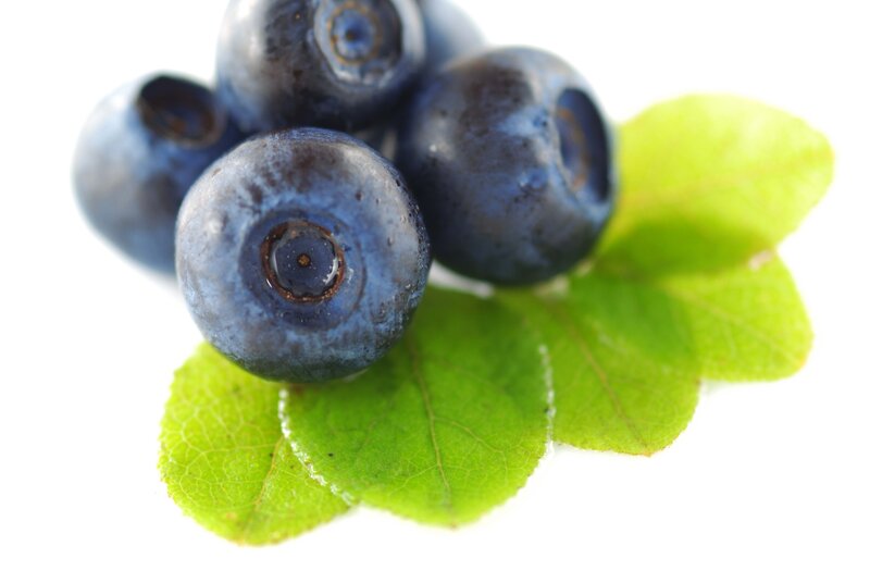Fresh blueberries with leaves