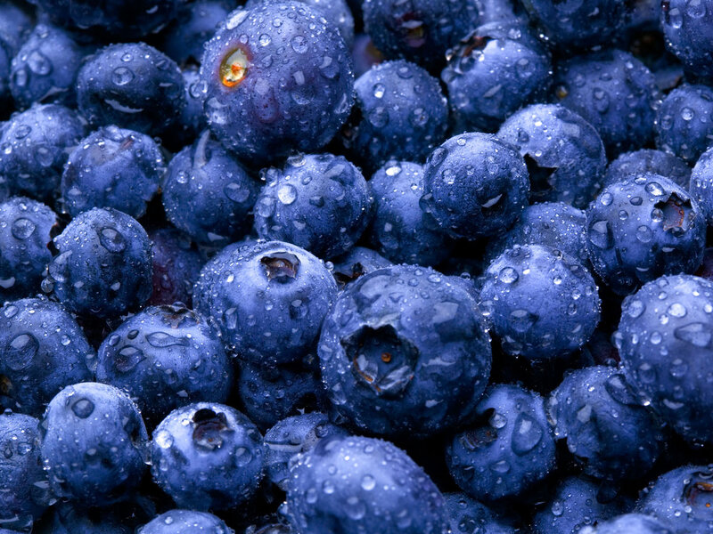 Fresh blueberries with water droplets