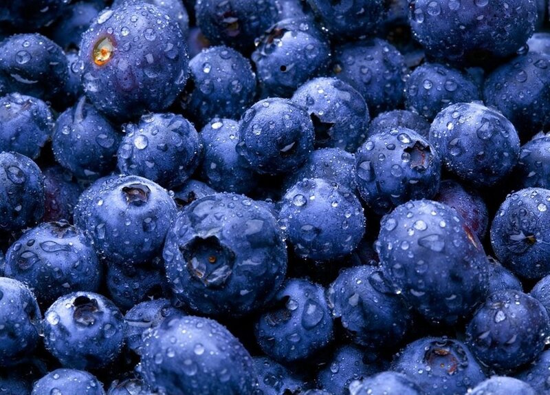Fresh blueberries with water droplets