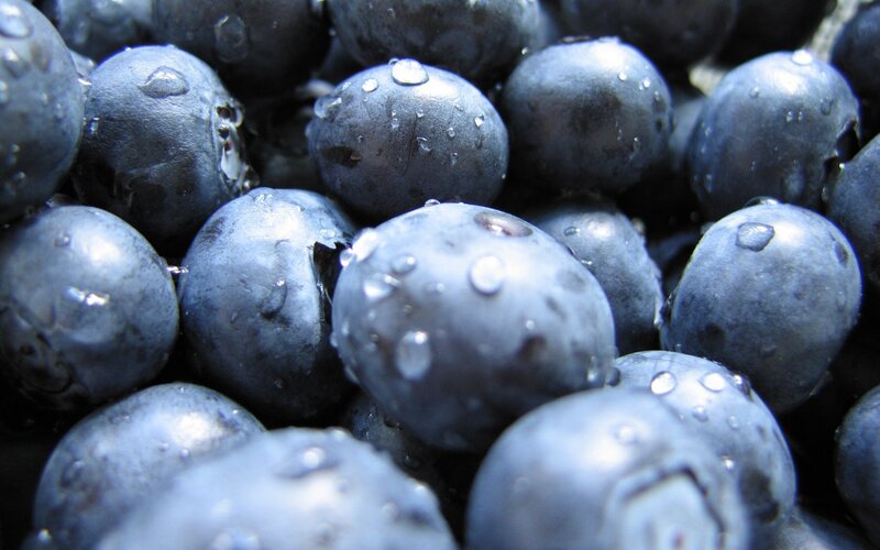 Fresh blueberries with water droplets