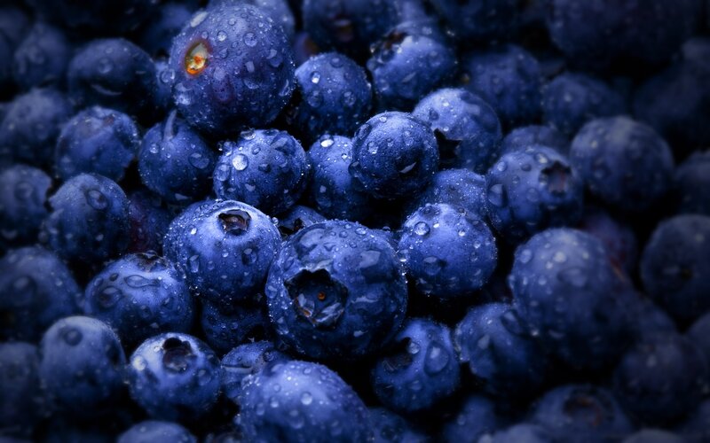 fresh blueberries with water droplets