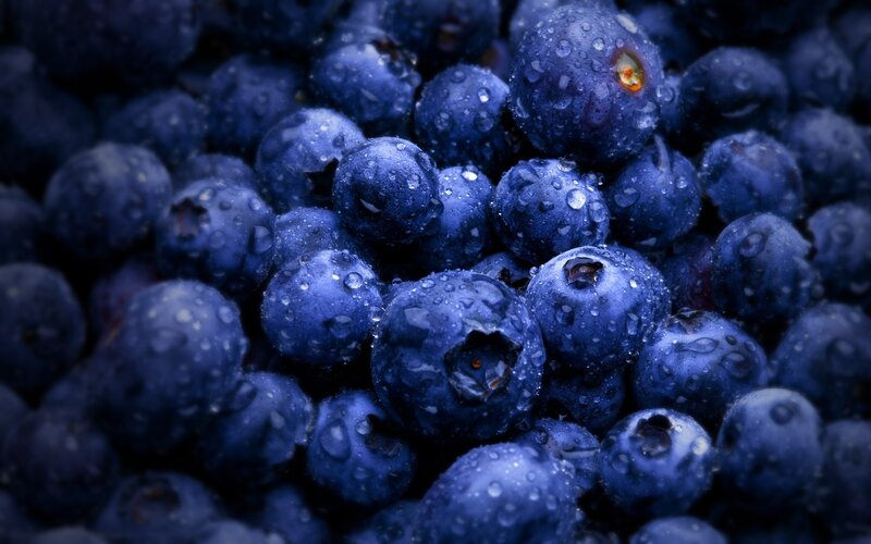 fresh blueberries with water droplets