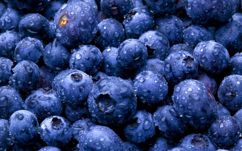 Fresh blueberries with water droplets