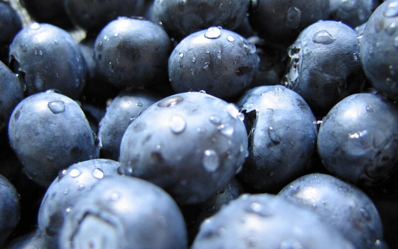 fresh blueberries with water droplets