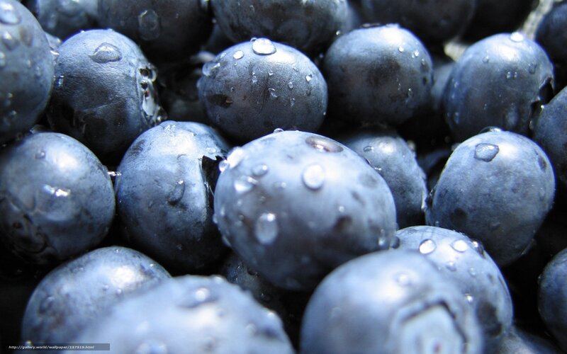 fresh blueberries with water droplets