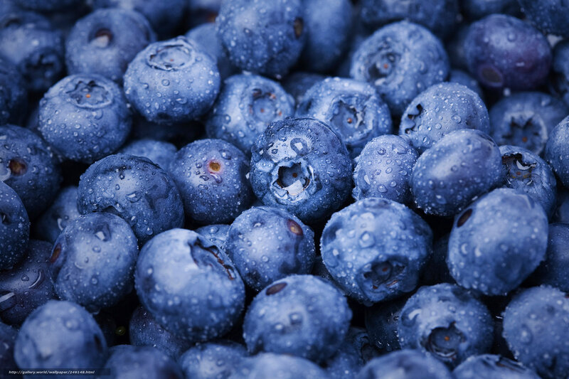 Fresh blueberries with water droplets