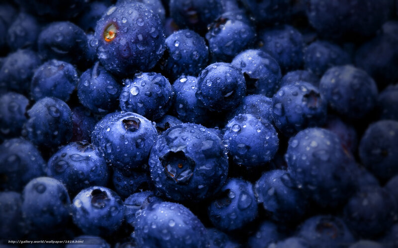 Fresh blueberries with water droplets