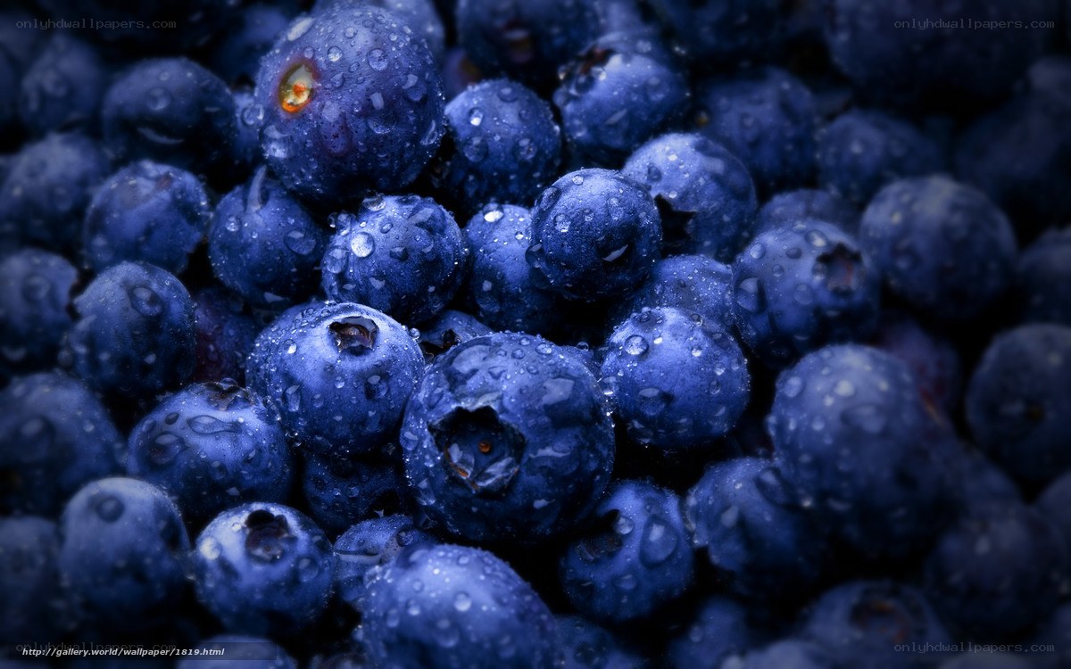 Fresh blueberries with water droplets