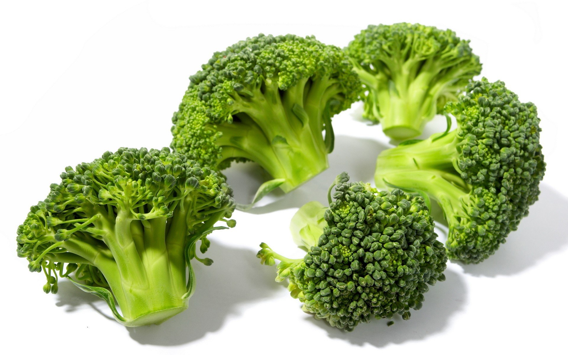 Fresh broccoli florets