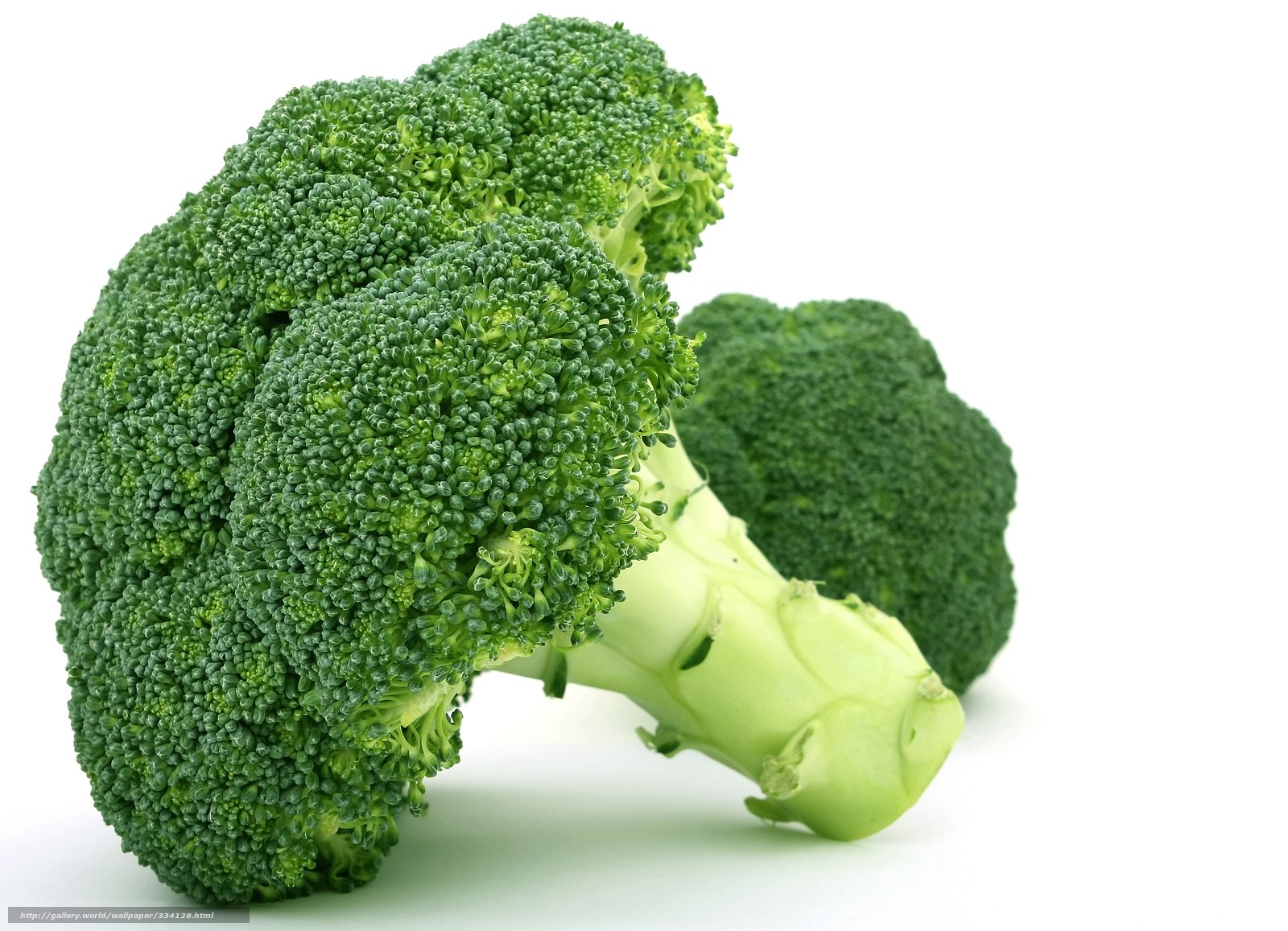 Fresh broccoli florets