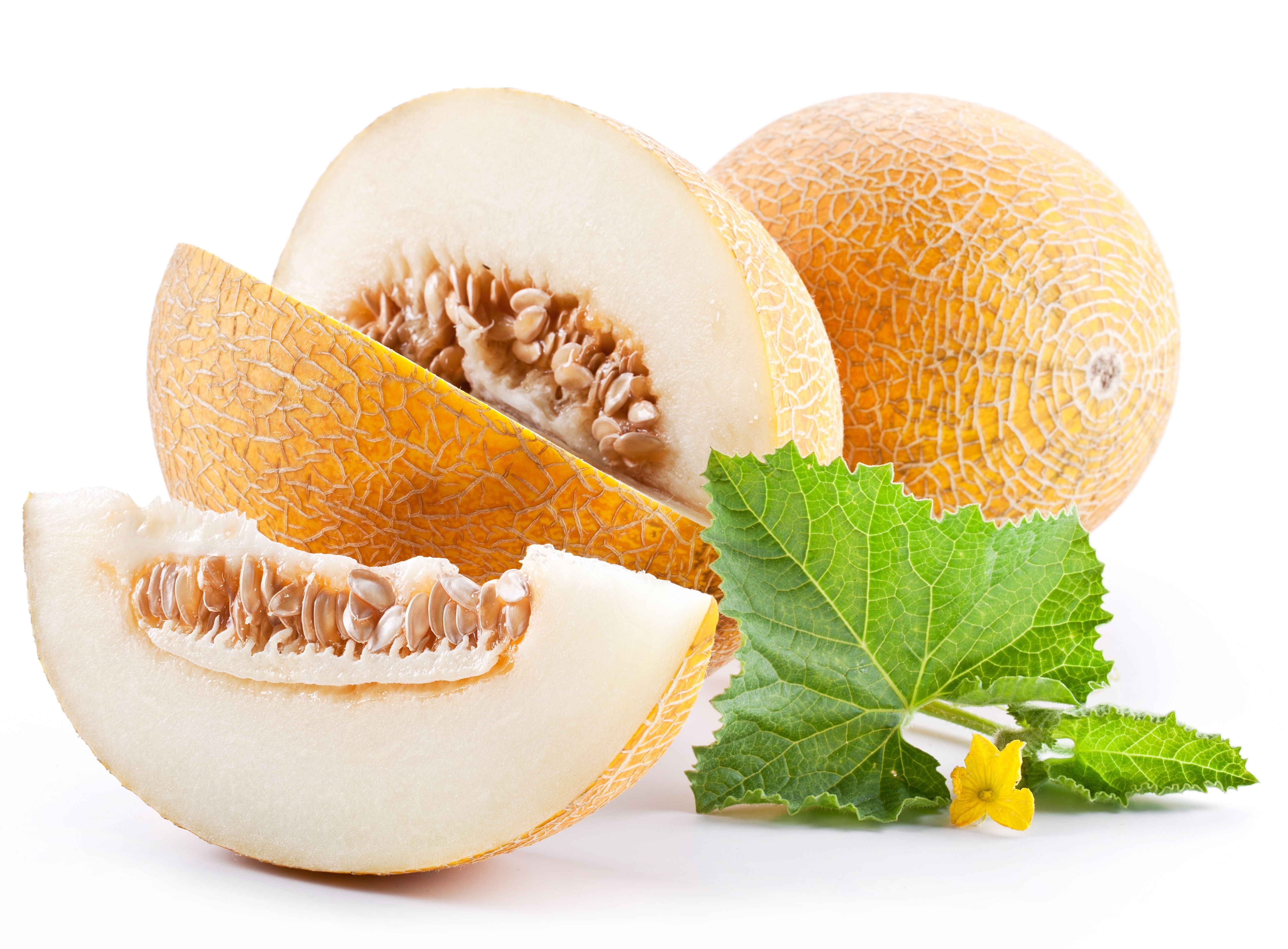 Fresh cantaloupe with leaves
