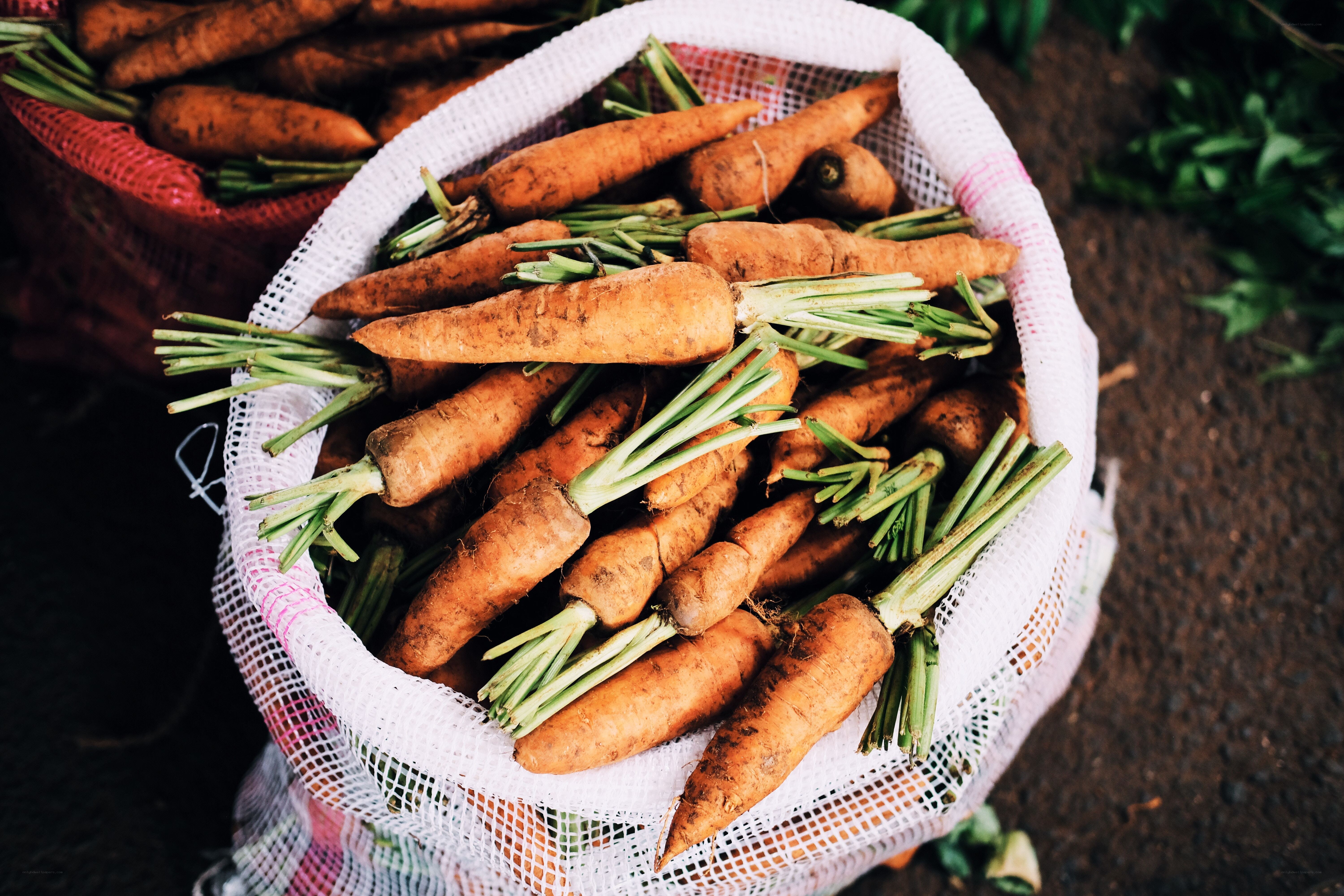 Fresh carrots in a mesh bag
