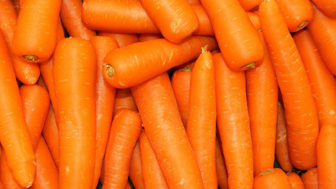 Fresh carrots in a pile