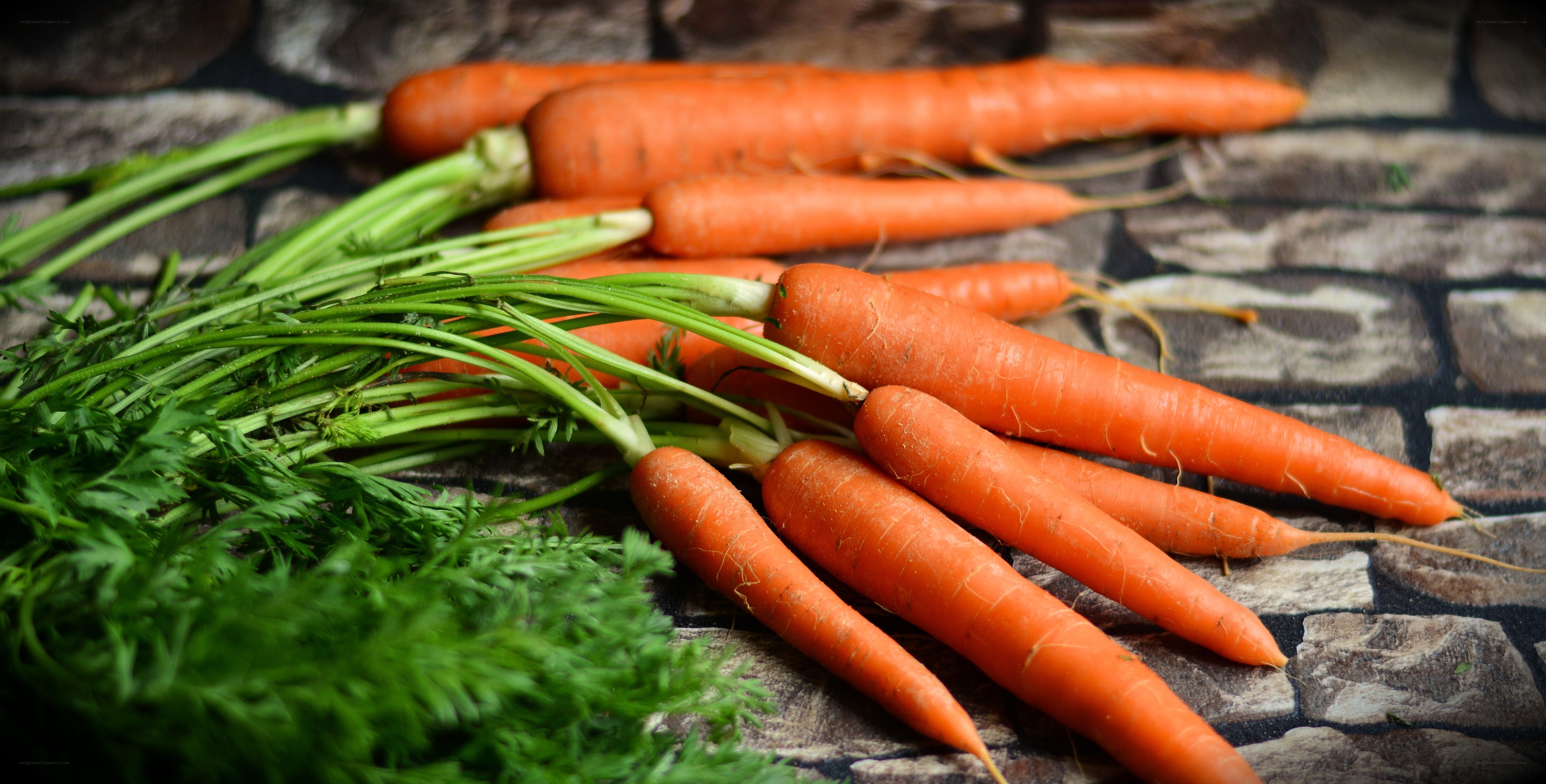Fresh carrots with greens