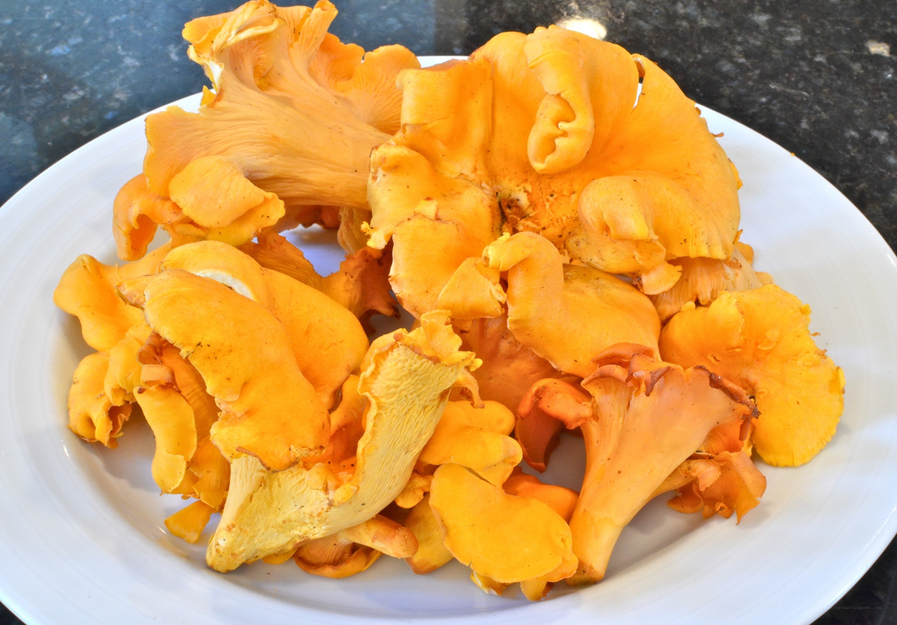 fresh chanterelle mushrooms