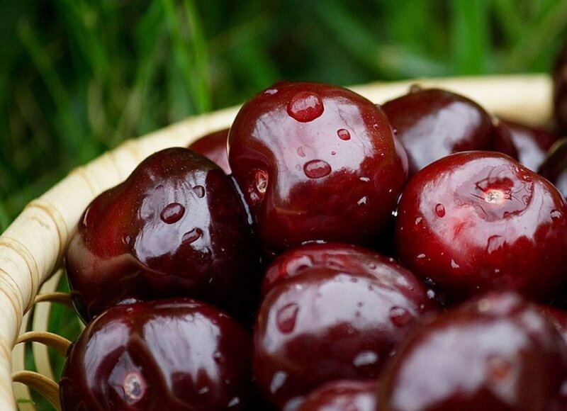 Fresh cherries in a basket