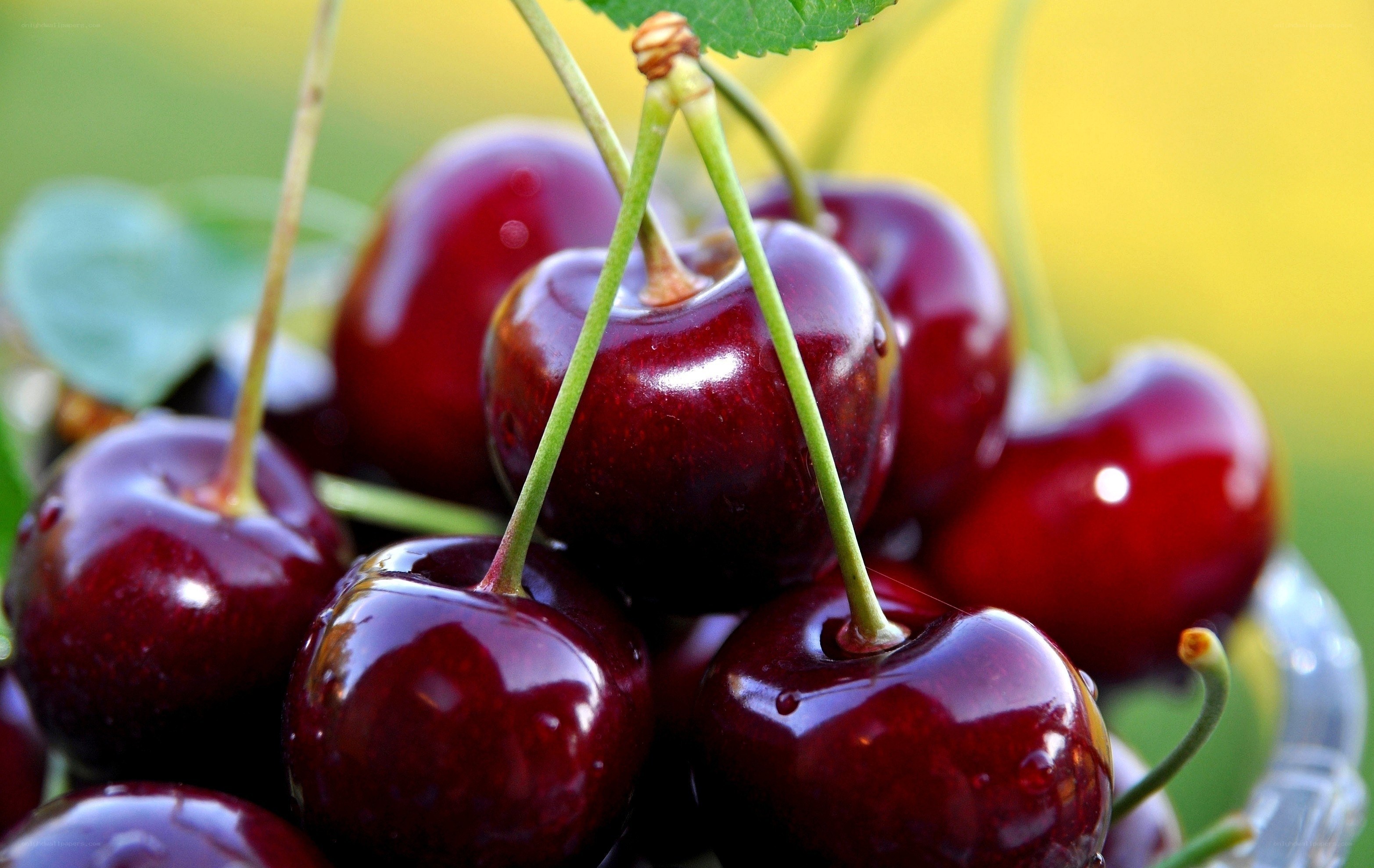 Fresh cherries in a bowl