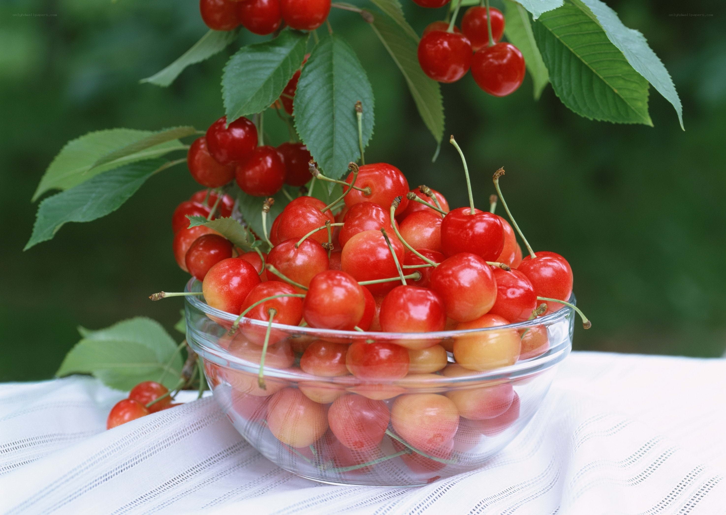Fresh cherries in a glass bowl
