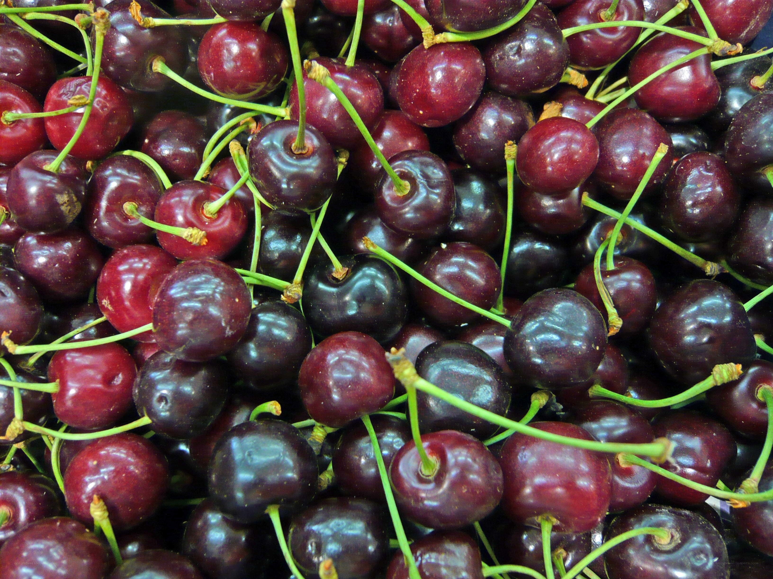 Fresh cherries in a pile