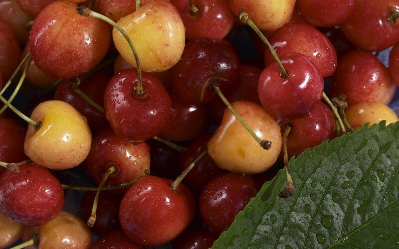 Fresh cherries with leaf