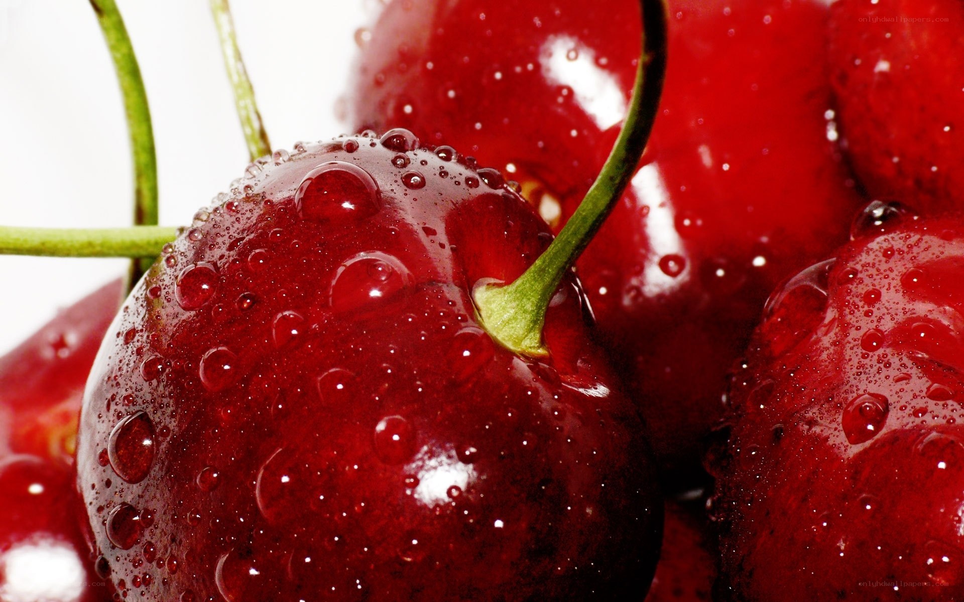 Fresh cherries with water droplets