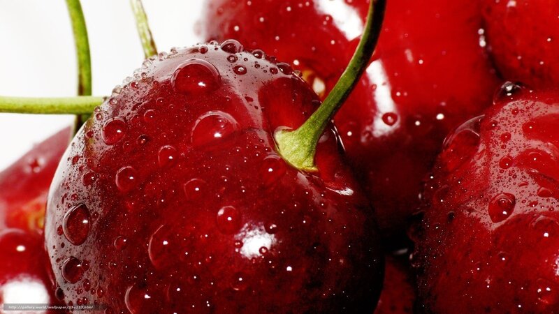 Fresh cherries with water droplets