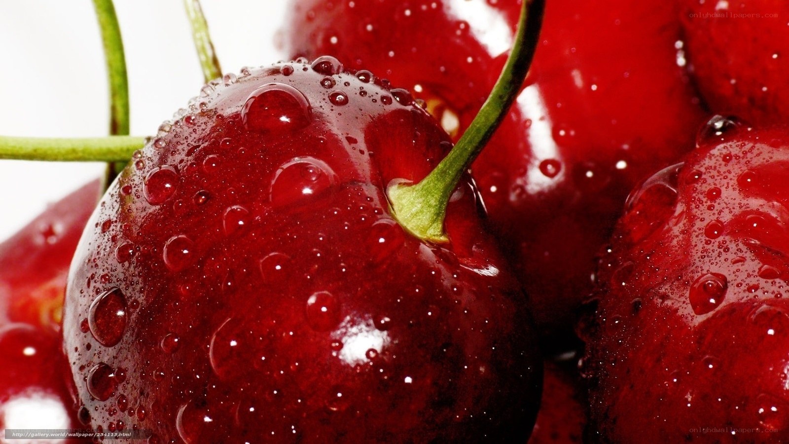 Fresh cherries with water droplets