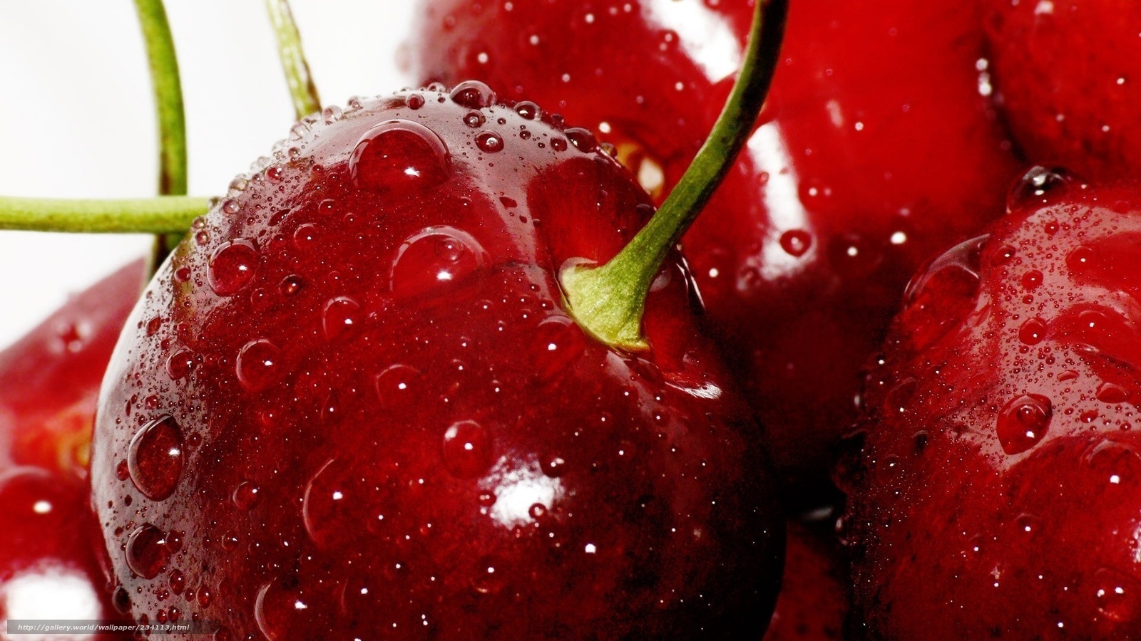 Fresh cherries with water droplets