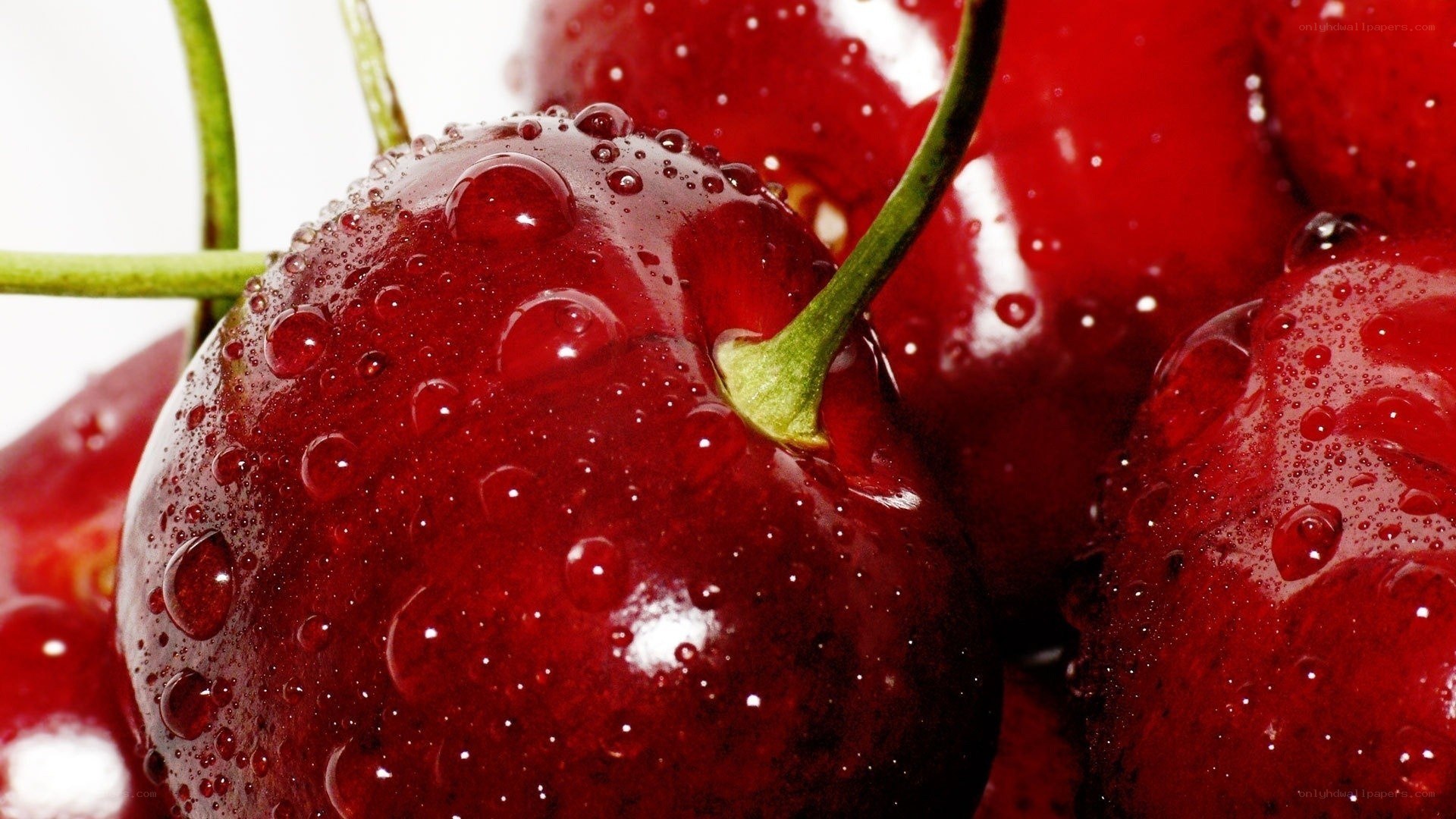 Fresh cherries with water droplets