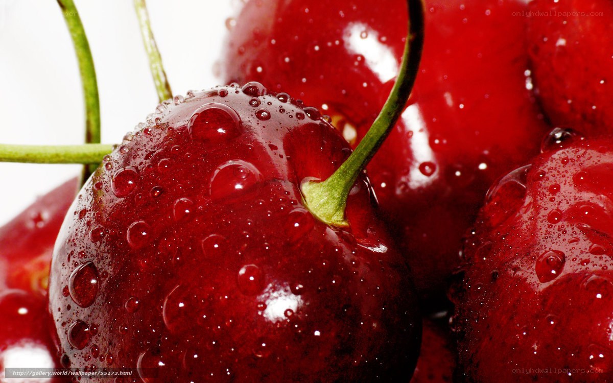 Fresh cherries with water droplets