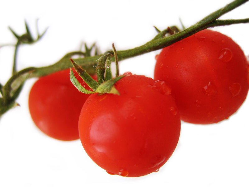 fresh cherry tomatoes on vine