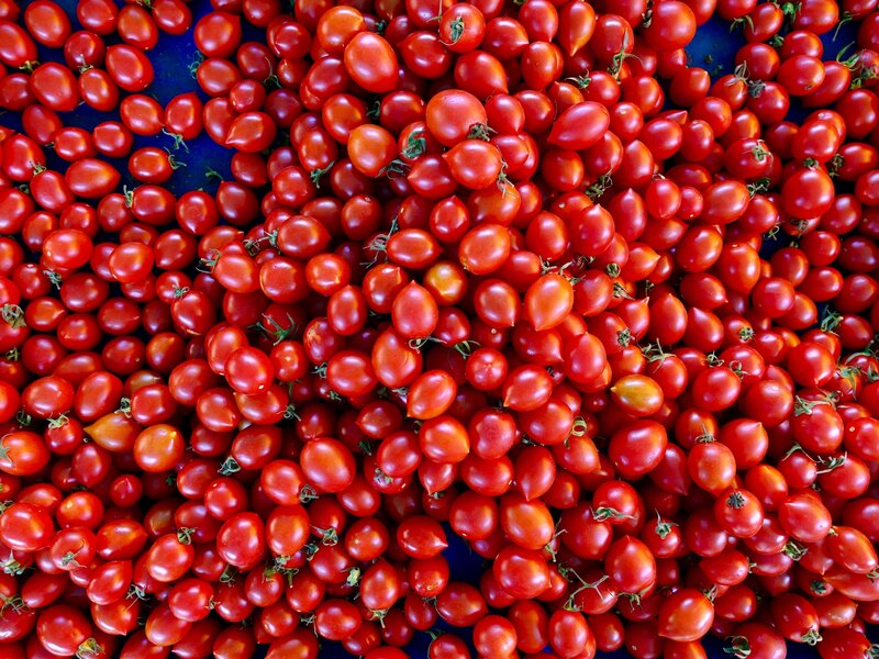 Fresh cherry tomatoes
