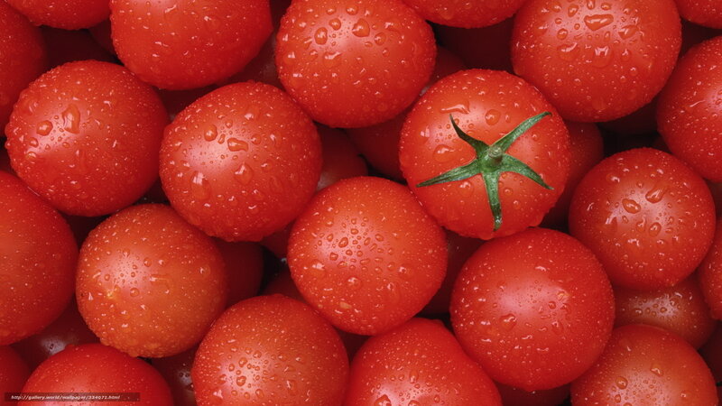 Fresh cherry tomatoes with water droplets