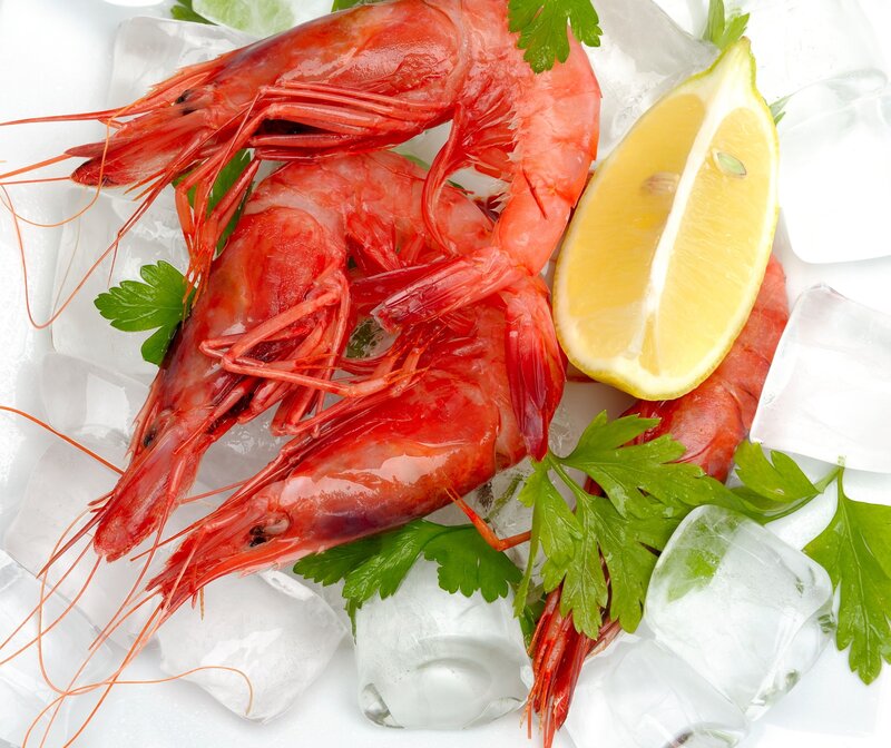 Fresh cooked shrimp on ice